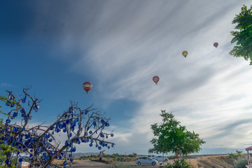 Evil Eye Tree with Hot Air Balloon in Bckground