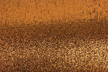 background of bronze lurex wool on a cone - 312360638
