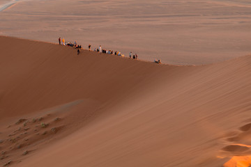 Dune 45 is a star dune in the Sossusvlei area of the Namib Desert in Namibia.