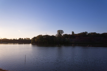Sunset reflected in the lake, Flower Expo Memorial Tsurumi Ryokuchi Park.