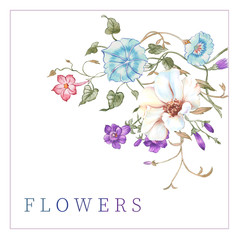 Watercolor flowers illustration