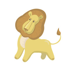 baby lion stands on a white background