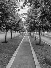 Park of Joseph Bové, also known as park of Moscow City Duma.