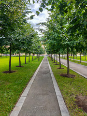 Park of Joseph Bové, also known as park of Moscow City Duma.