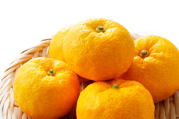 柚子　Yuzu. Japanese citron