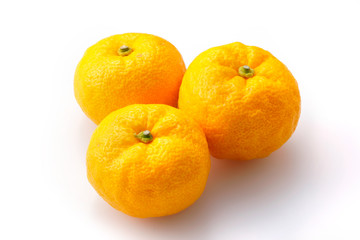 柚子　Yuzu. Japanese citron