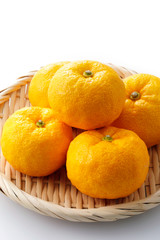 柚子　Yuzu. Japanese citron