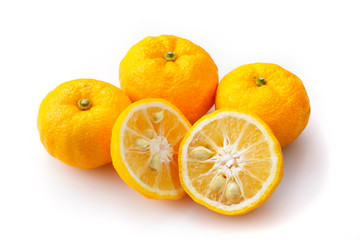 柚子　Yuzu. Japanese citron