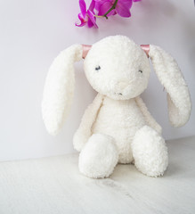 Easter bunny rabbit with orchid flower on white background.