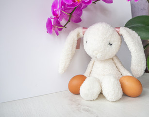 Easter bunny white rabbit with brown eggs and orchid flower on white background.