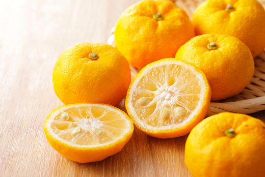 柚子　Yuzu. Japanese citron