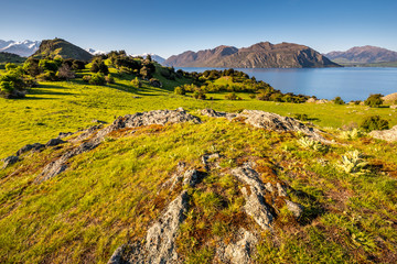 Wanaka lake coast line and highlands, Glendhu bay view.