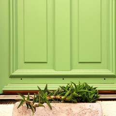 Fototapeta na wymiar home decoration, exterior green door and plant pot