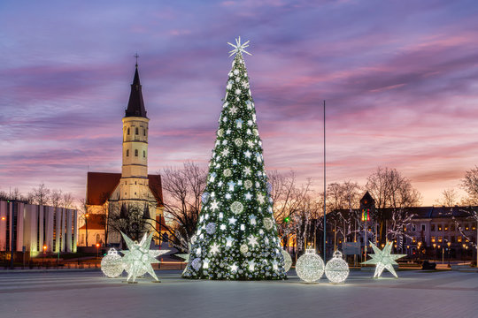 christmas tree in Siauliai