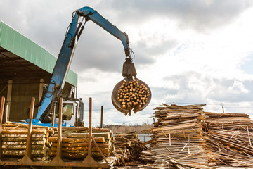 Log loader at lumber mill, sawmill. Front loader lifting stack of logs