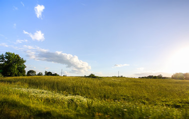 Beautiful summer landscape in countryside.