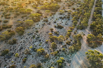 Australian outback in the sunset