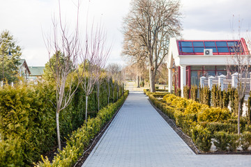 Tidy green garden near a house. Bushes and trees along the walk path. Villa backyard