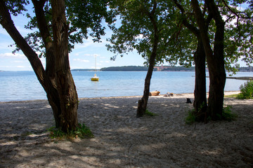 Photography of a beautiful pristine landscape with beach, ocean and trees