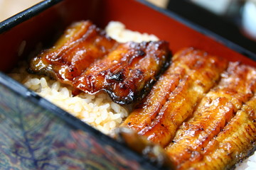 美味しそうな鰻重