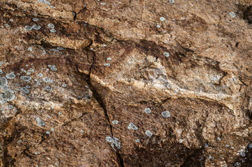 Granite boulder with surface cracks and splotches of lichen