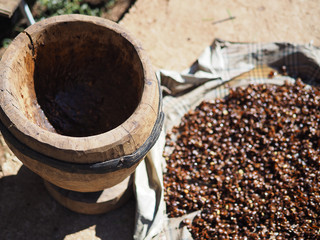 raw coffee beans drying  in the sun