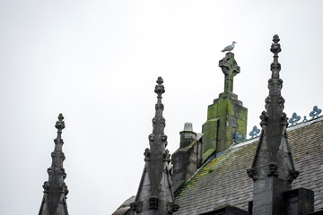 Fototapeta na wymiar cathedral, dublin, ireland,irland
