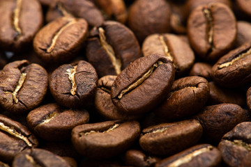 Coffee beans close-up background. Fresh roasted