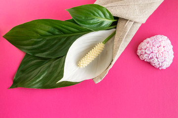 Congratulatory festive composition with a decorative pink heart and a delicate flower plant