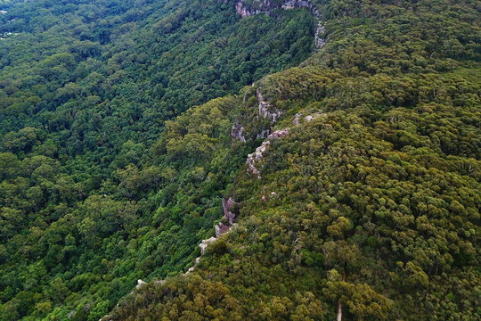 Illawarra Escarpment And Its Lush Forests