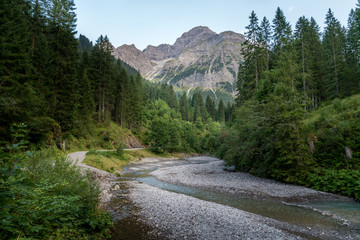 Fototapeta na wymiar Blick auf den Berg Widderstein in Österreich.