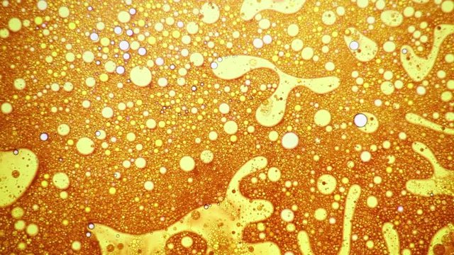 Fantastic structure of golden bubbles. Scientific experiment, chemical reactions. Chaotic motion, bubble flow expansion, curlicue of paints. Psychedelic liquid light show, ink patterns in water + oil.