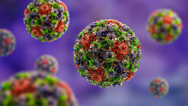 Human papillomavirus, a virus which causes warts located mainly on hands and feet, some strains infect genitals and can cause cervical cancer, 3D illustration