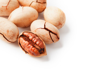 Pecan isolated on white background. Close-up, macro. A nut in a shell.