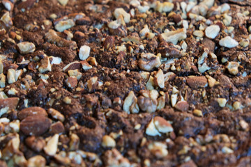 close up cenital view of a brownie dessert with nuts and almonds