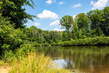 Fototapeta premium lake in deep forest