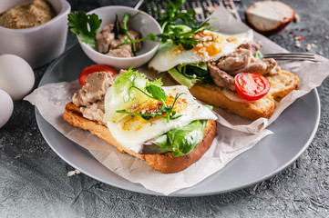 Morning sandwiches with egg, pate, herbs and cheese on a gray background. Close-up