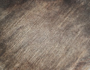 coconut wood texture