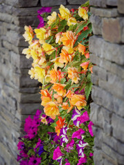 Colorful bouquet decoration in a window, concept summer, freshness