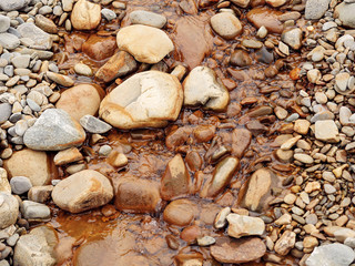 Small creek with orange color water, Concept ecology, water quality.