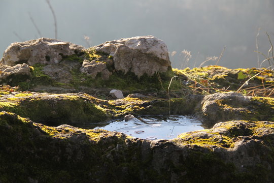 Flaque d'eau gelée