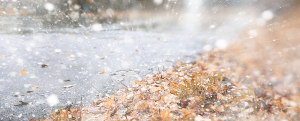 Background autumn park in the first snow
