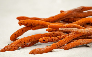 Bright orange sponge had long fingers washed ashore after a storm