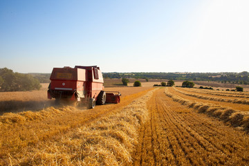Obraz premium Moissonneuse dans les blés en campagne, France.