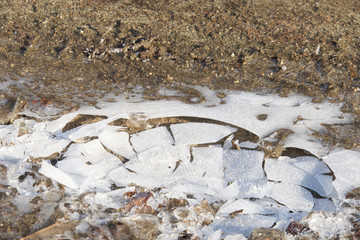 Eiskruste