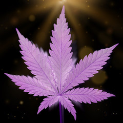 pink cannabis flower