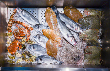 High Angle Still Life of Variety of Raw Fresh Fish Chilling on Bed of Cold Ice in Seafood Market Stall