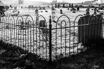 Graveyard fence with frost and shadows at morning 