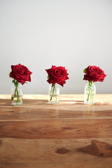 Rote Rosen stehen in einer Reihe vor einer weißen Wand auf einem braunen Holztisch