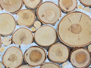 Circle wood slices, Eco background. The slices are of different sizes Wood circles pattern of cutted tree trunks. Abstract wooden background, covered with snow